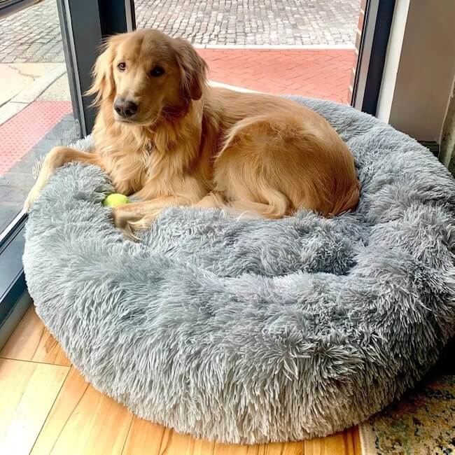 SnuggleCloud  - Anti-Anxiety Calming Dog Bed