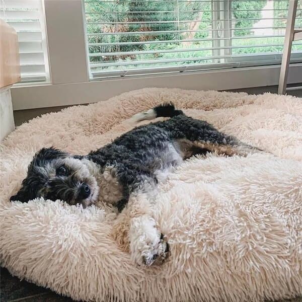 SnuggleCloud  - Anti-Anxiety Calming Dog Bed