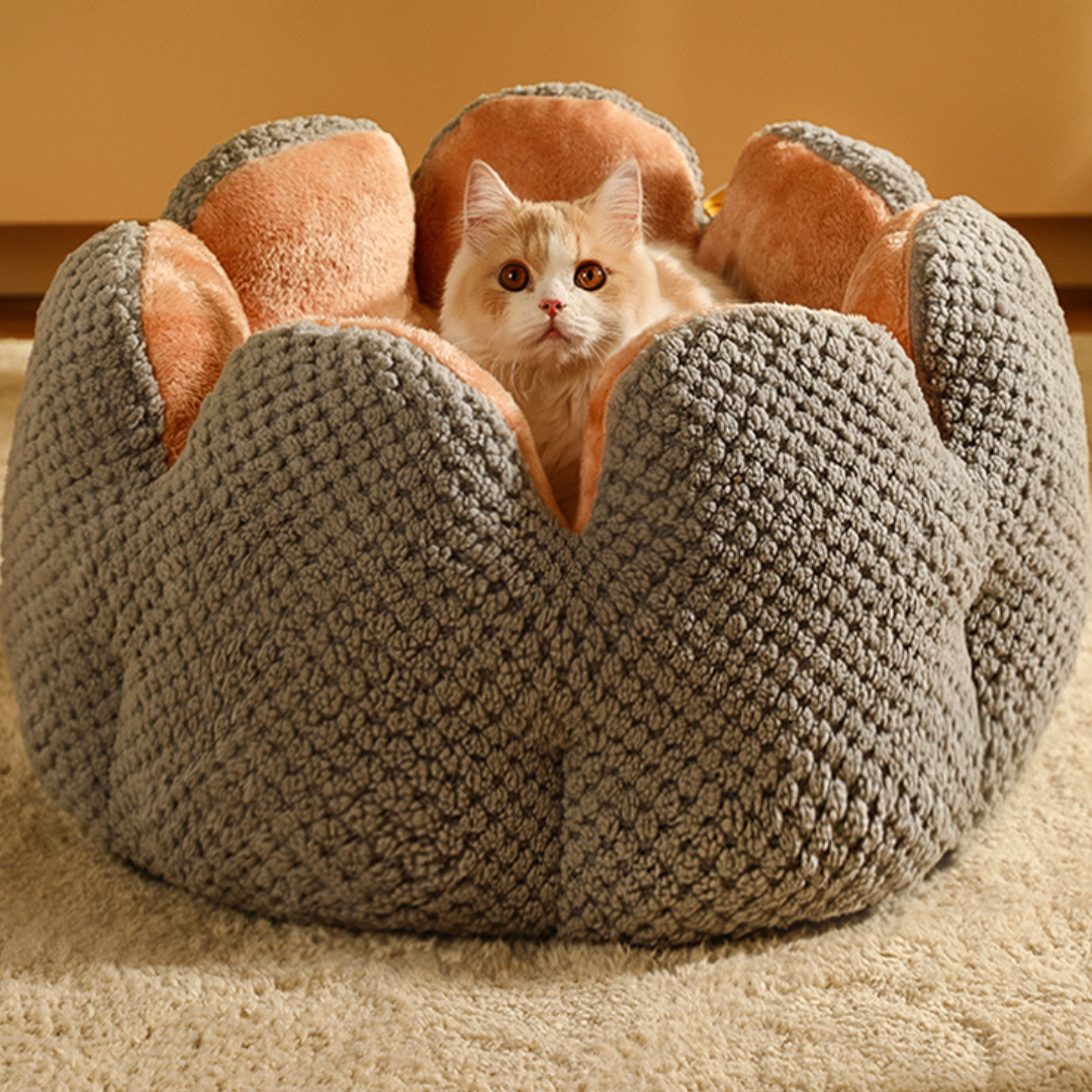 Soft Petal Sleep Pet Bed