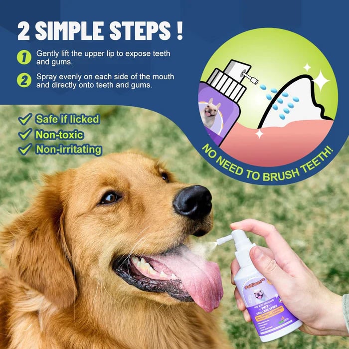 Teeth Cleaning Spray For Dogs & Cats