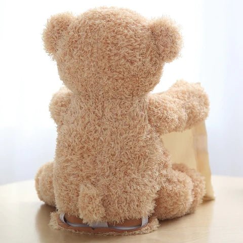 The Peek-A-Boo Teddy Bear