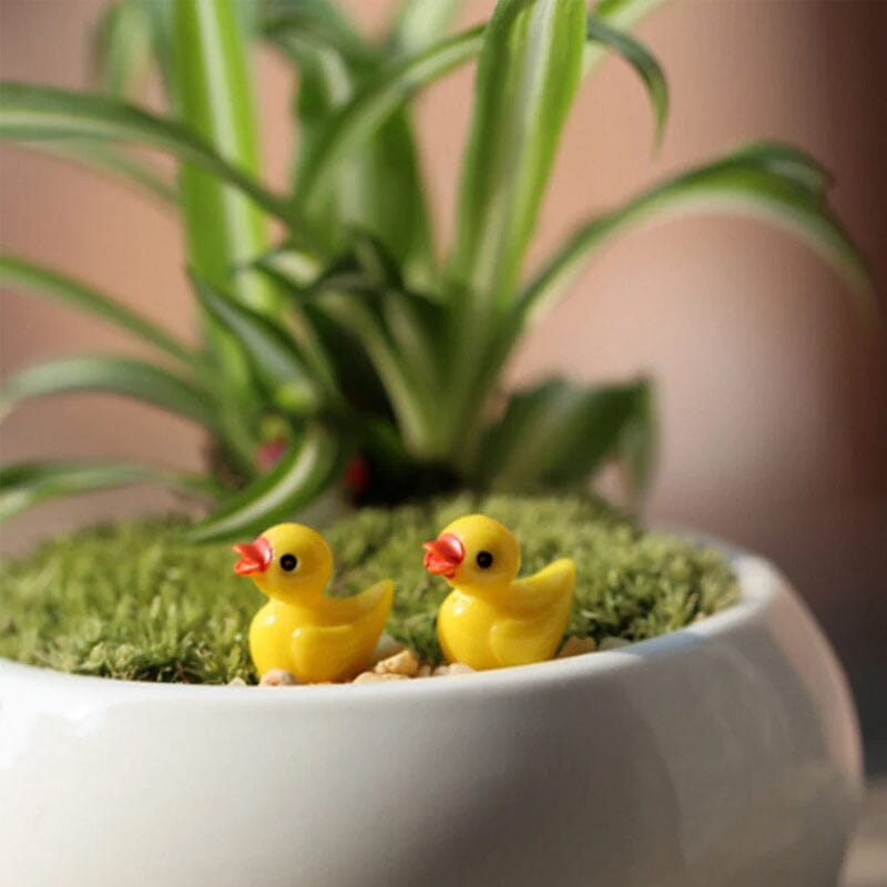 Tiny Ducks | Challenge Hiding Ducks