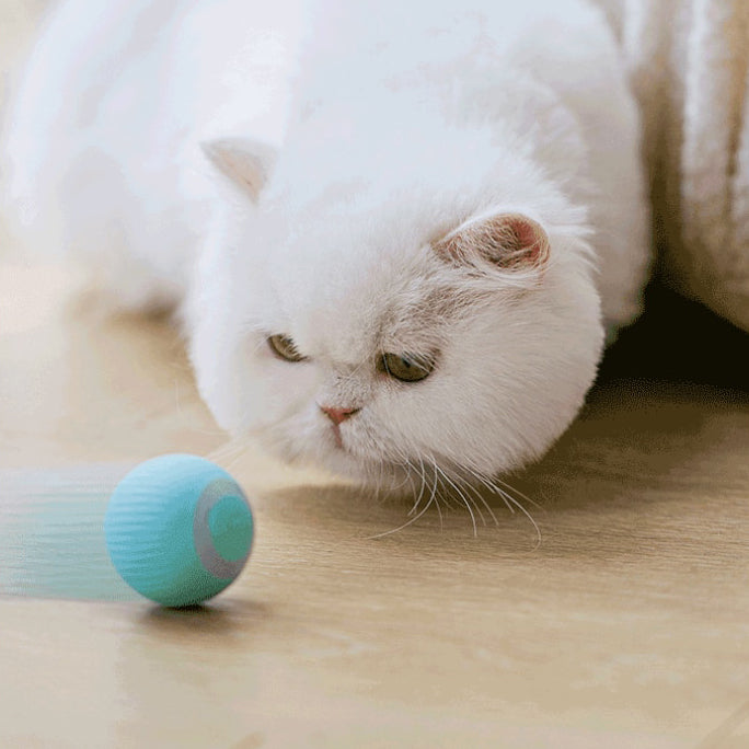 Velarosy SmartBall - Interactive Pet Toy