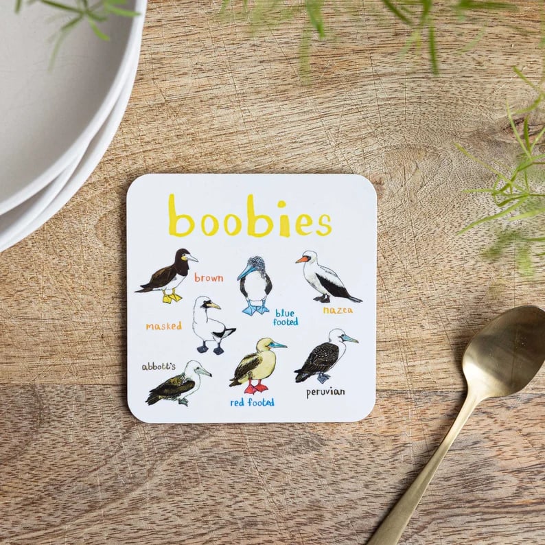 49% OFF - Set of 6 Bird Pun