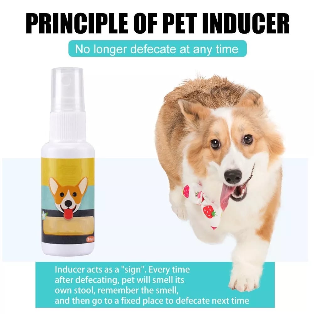 (Blowout Sale) Pet Potty Here Training Spray