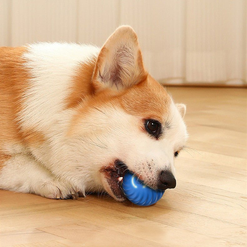 BOUNCING DOG BALL TOY