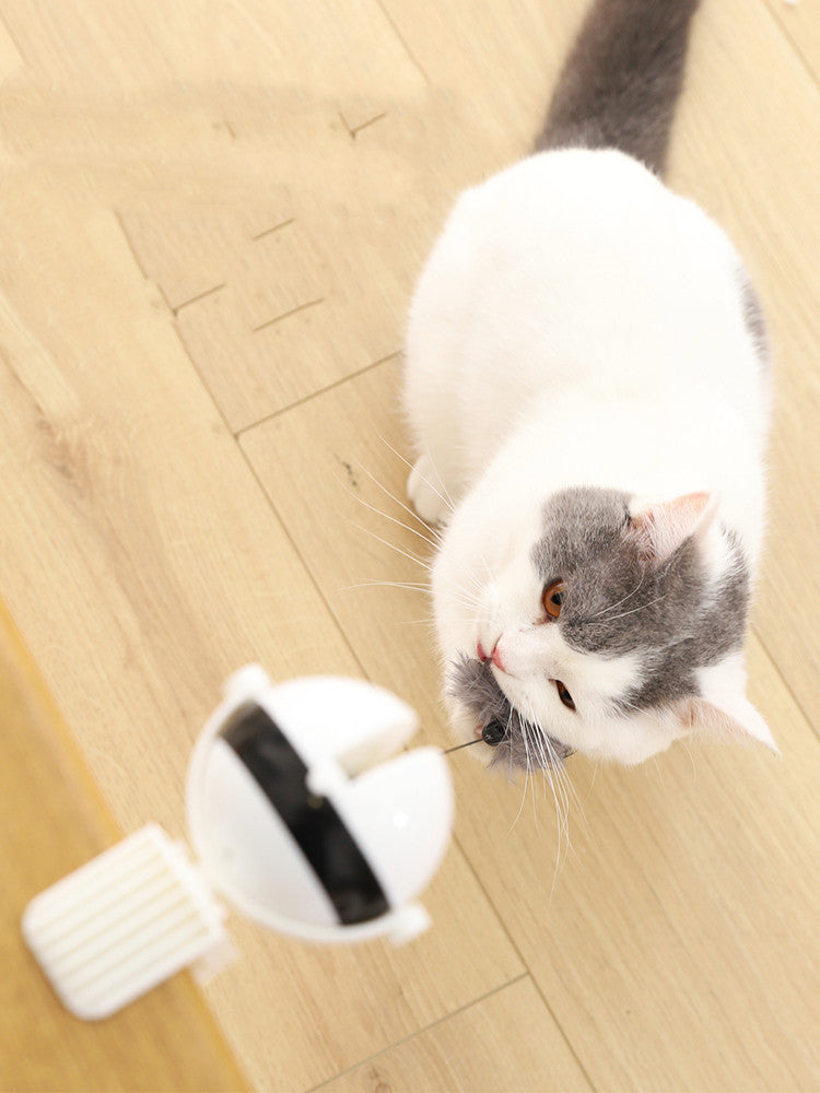 Interactive Cat Toy