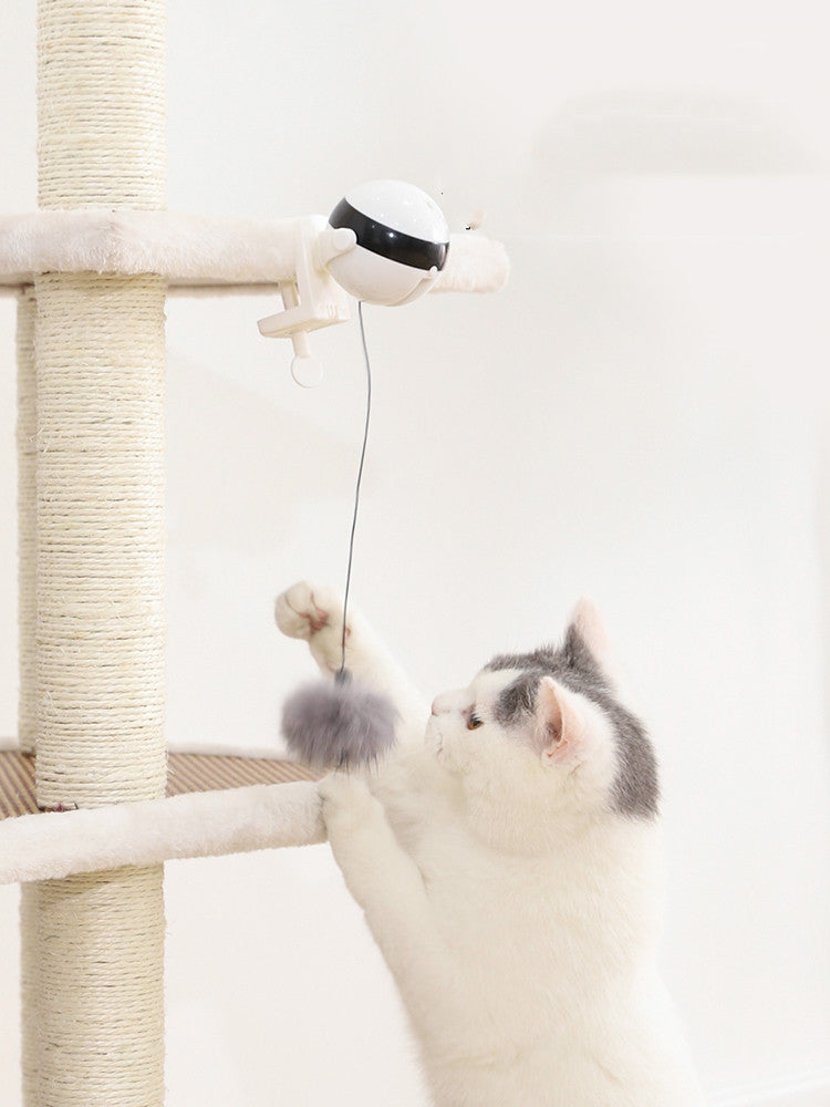 Interactive Cat Toy