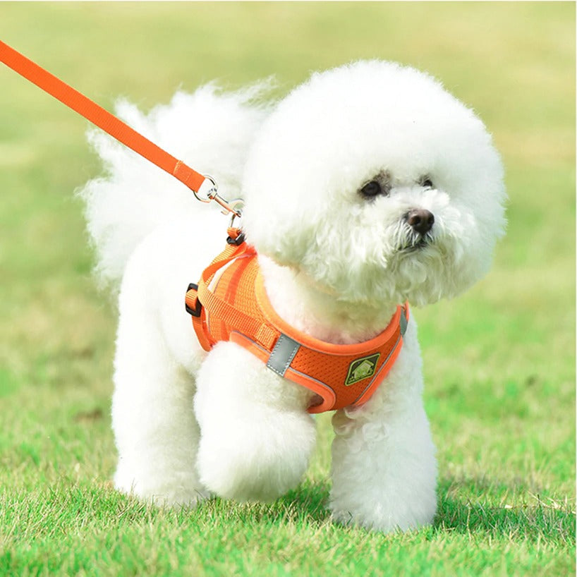 No Pull Reflective & Breathable Dog Harness + Leash