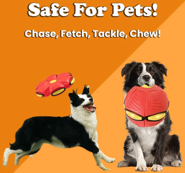 BUY MORE SAVE MORE - The Doggy Disc Ball