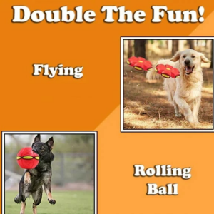 BUY MORE SAVE MORE – The Doggy Disc Ball