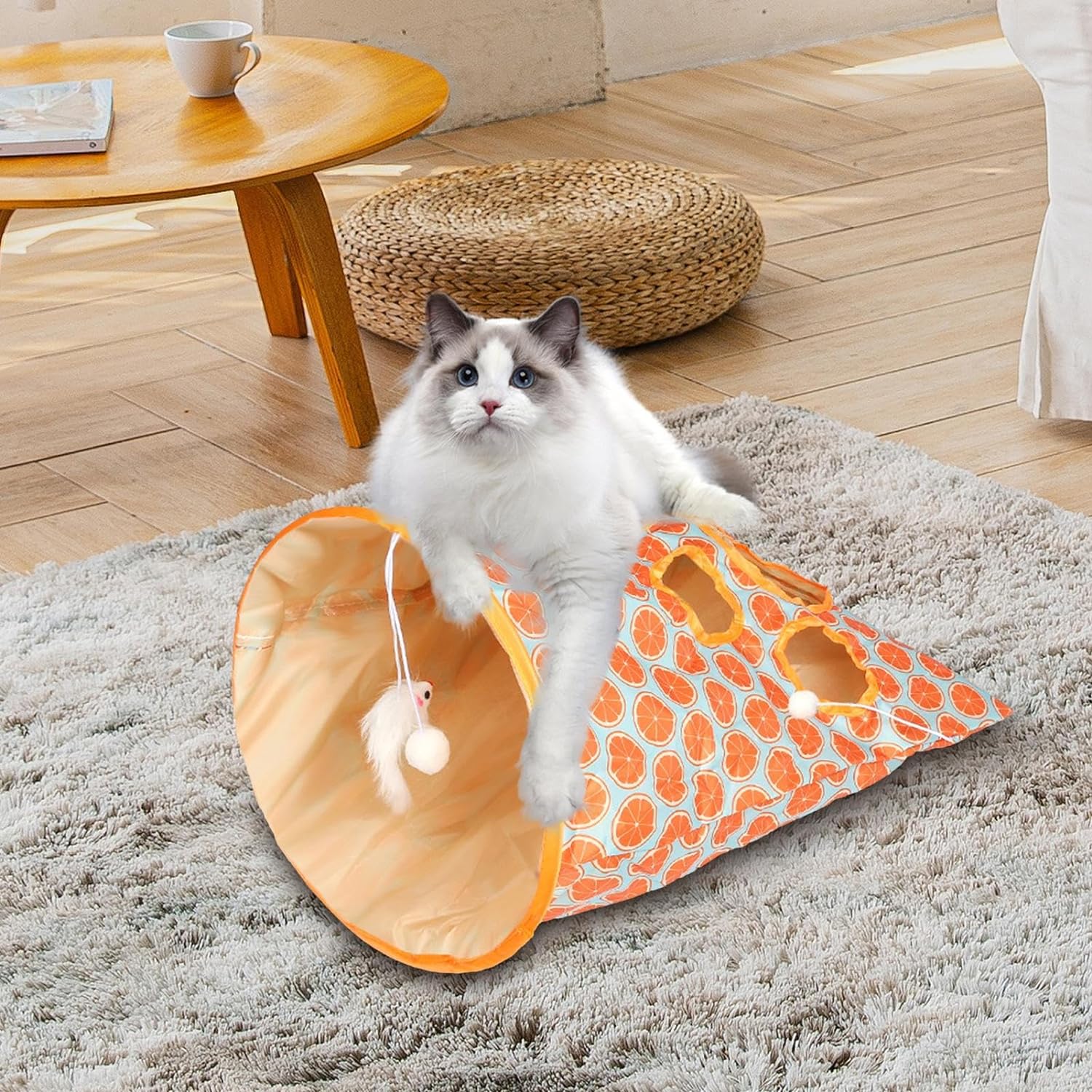 Cat-tastic Tunnel - Exclusive Offer!