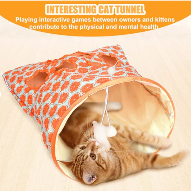 Cat-tastic Tunnel - Exclusive Offer!