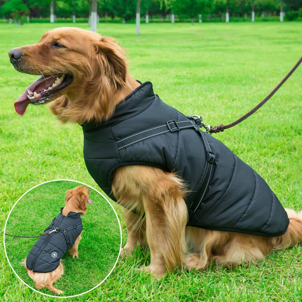 Dogegis Shop - Waterproof Winter Dog Jacket With Built-In Harness