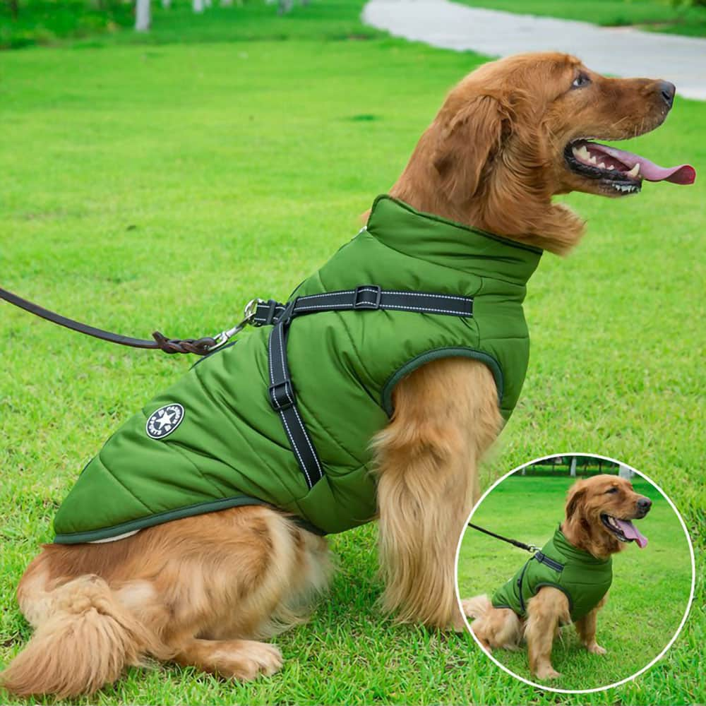 Dogegis Shop - Waterproof Winter Dog Jacket With Built-In Harness