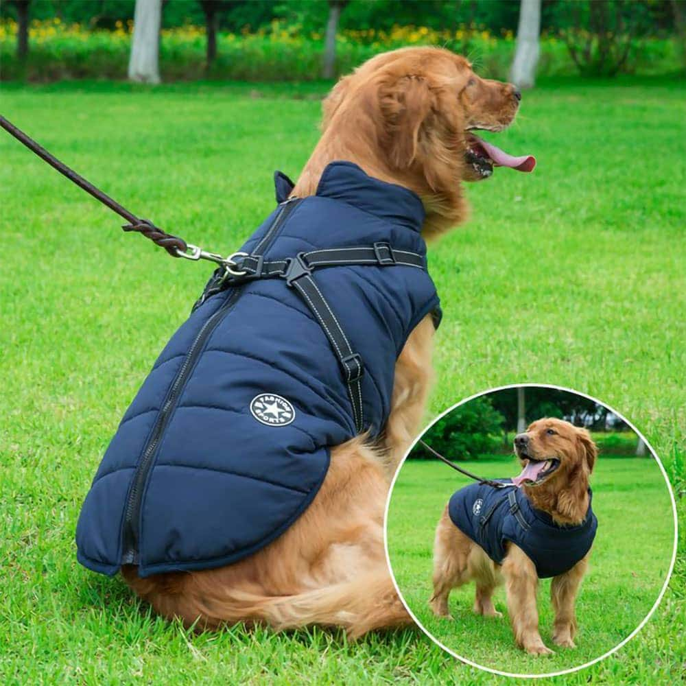 Dogegis Shop - Waterproof Winter Dog Jacket With Built-In Harness