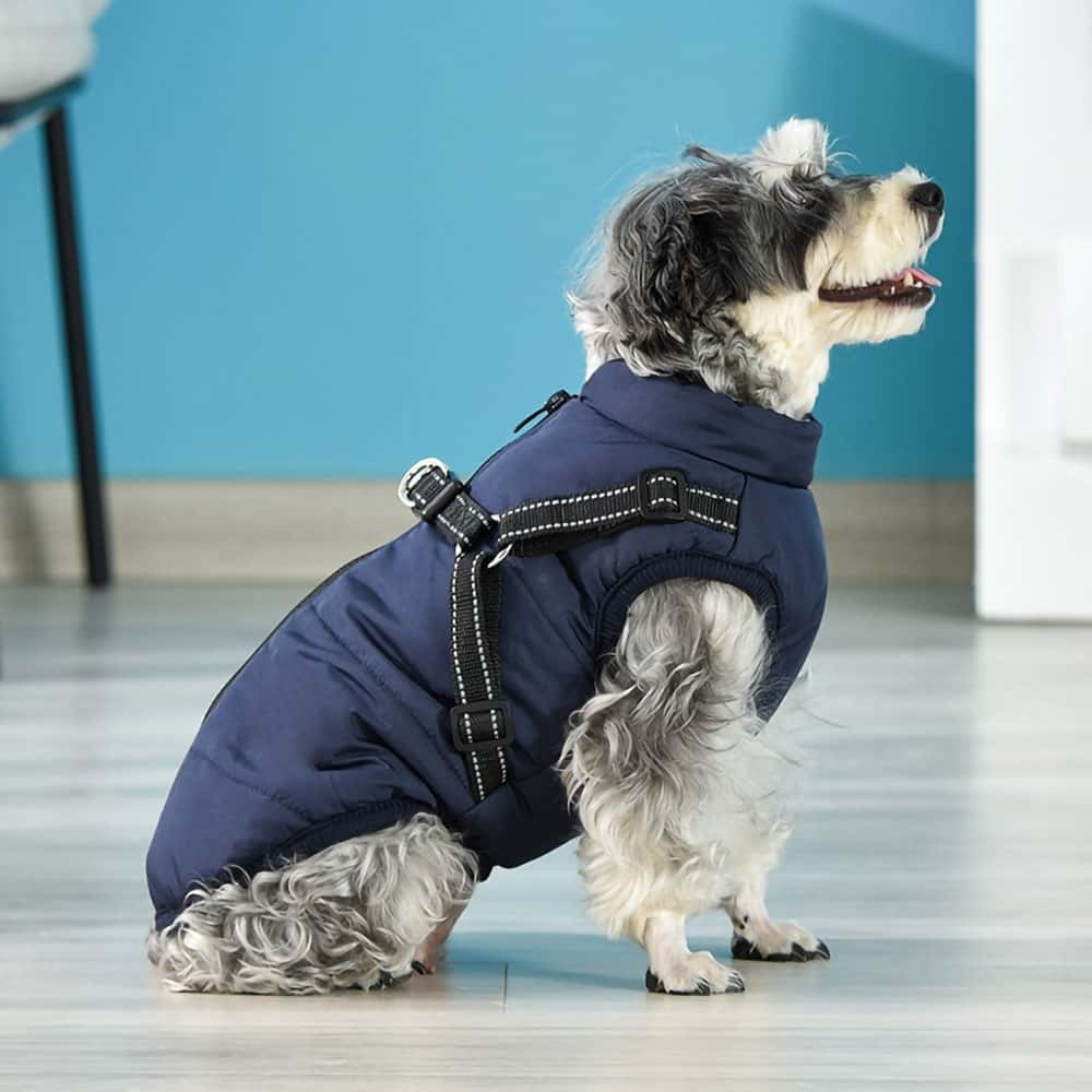 Dogegis Shop - Waterproof Winter Dog Jacket With Built-In Harness