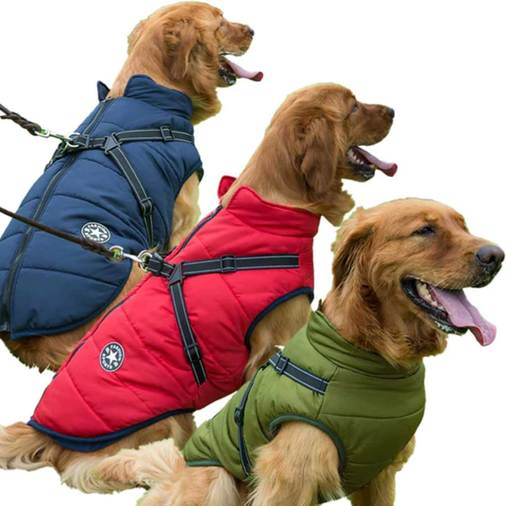 Dogegis Shop - Waterproof Winter Dog Jacket With Built-In Harness