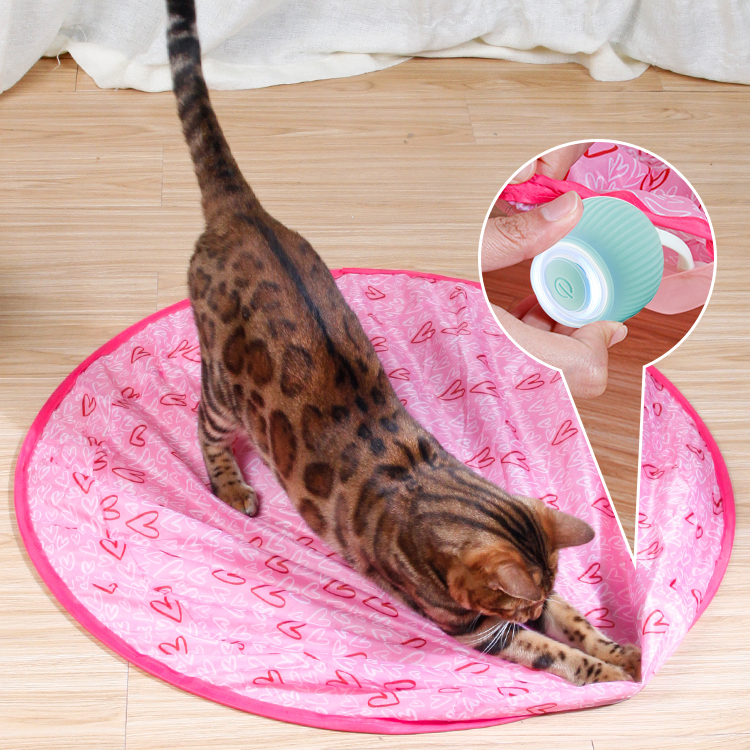 Gruadio - 2 In 1 Simulated Interactive Hunting Cat Toy