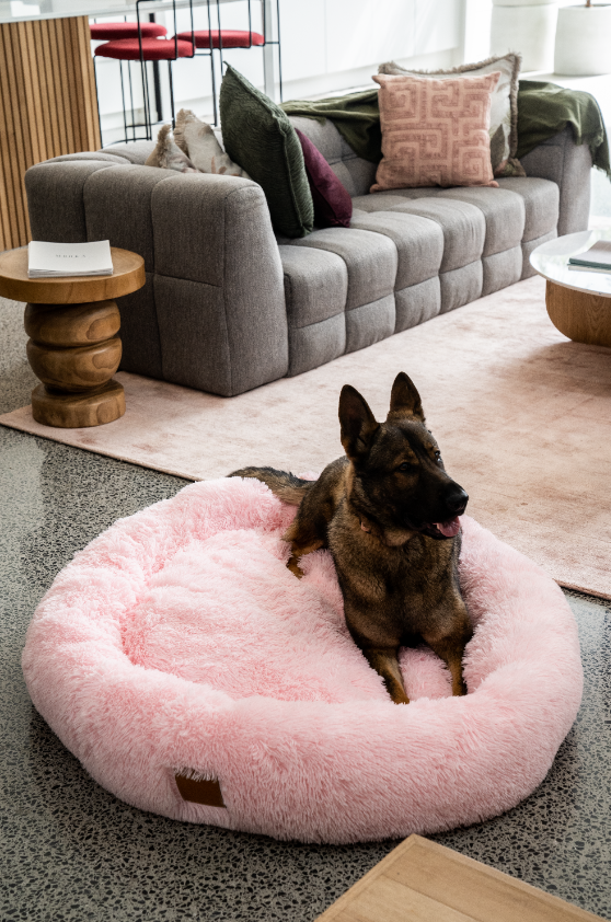 Calming Pet Bed