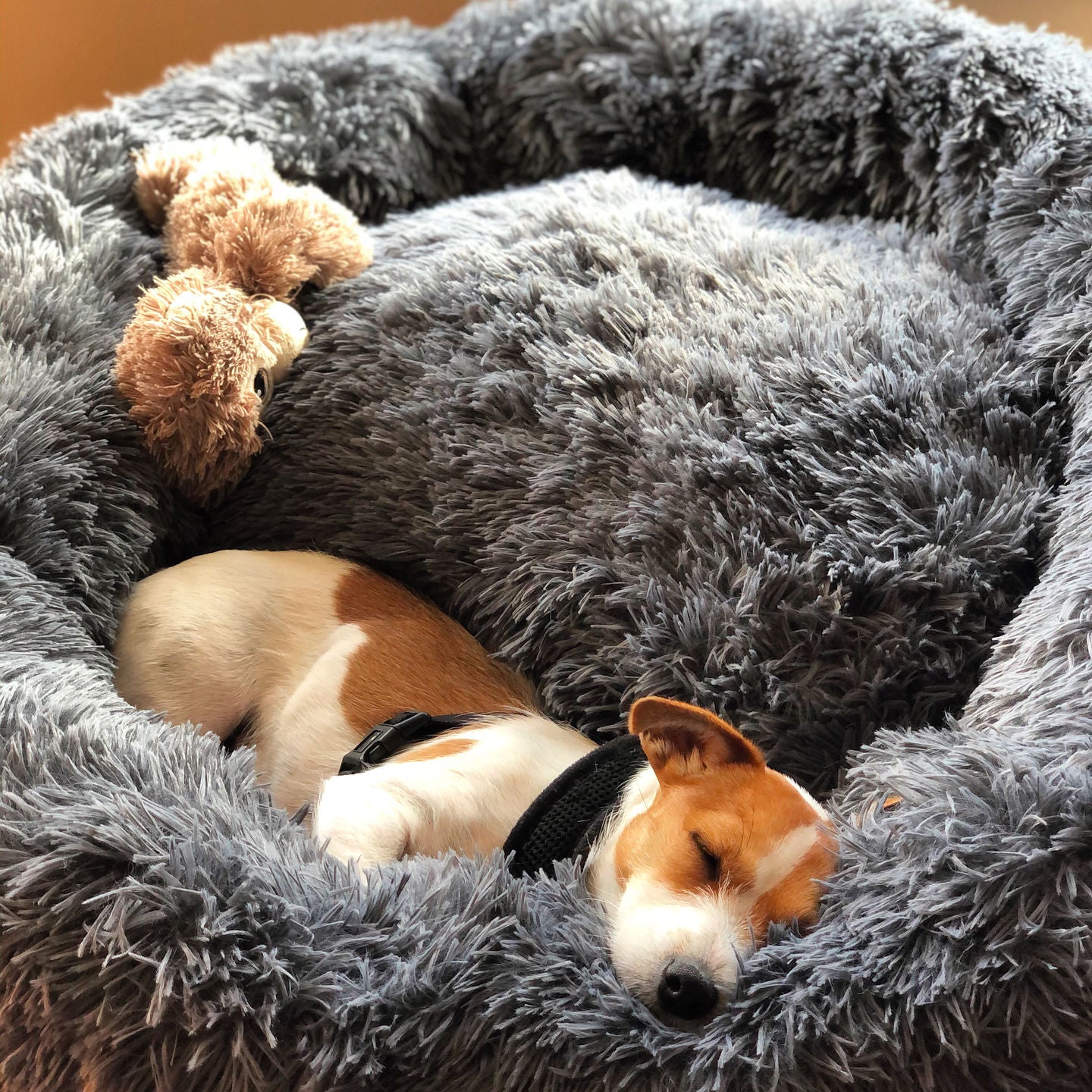 Calming Pet Bed