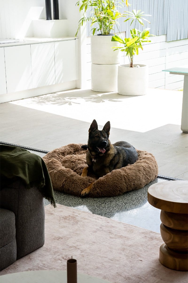 Calming Pet Bed