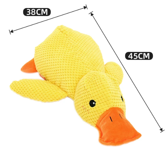 Quack-Quack Squeaky Dog Toy