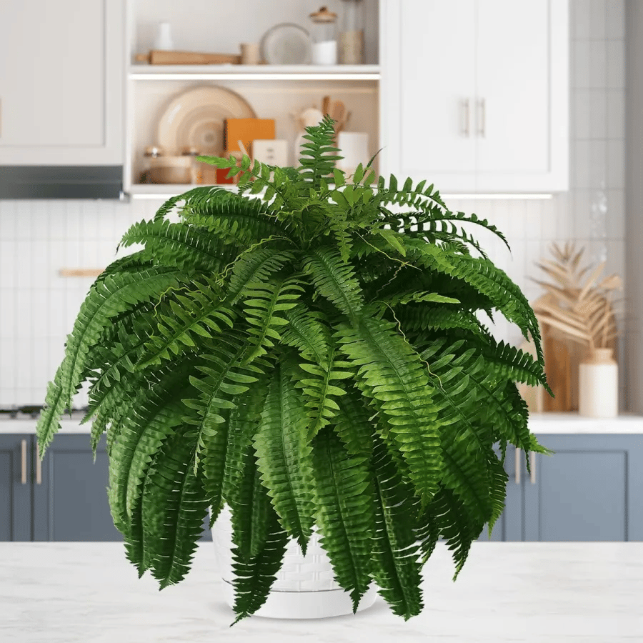 Appehinglaus | UV Resistant Lifelike Artificial Boston Fern