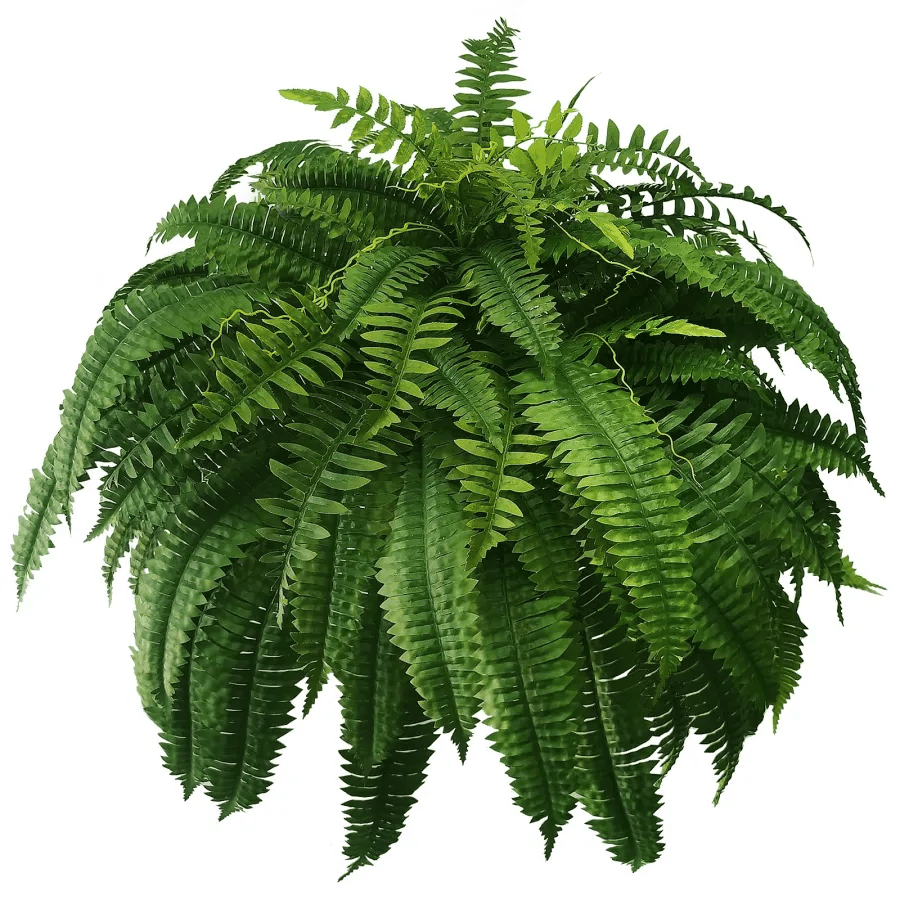 Appehinglaus | UV Resistant Lifelike Artificial Boston Fern