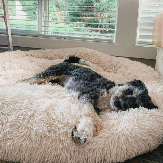 FluffyFriendShop - World's #1 Anxiety Relieving Pet Bed