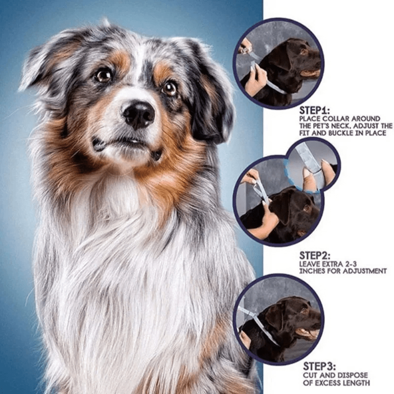Marlinko Pets - Anti Tick & Flea Calming Dog Collar
