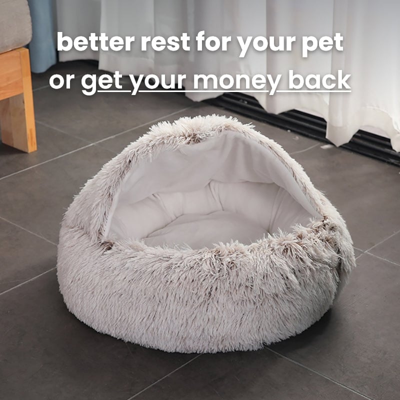 Cozycave Pet bed