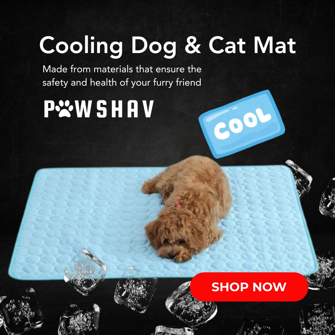 PawsHav - Pet Cooling Mat