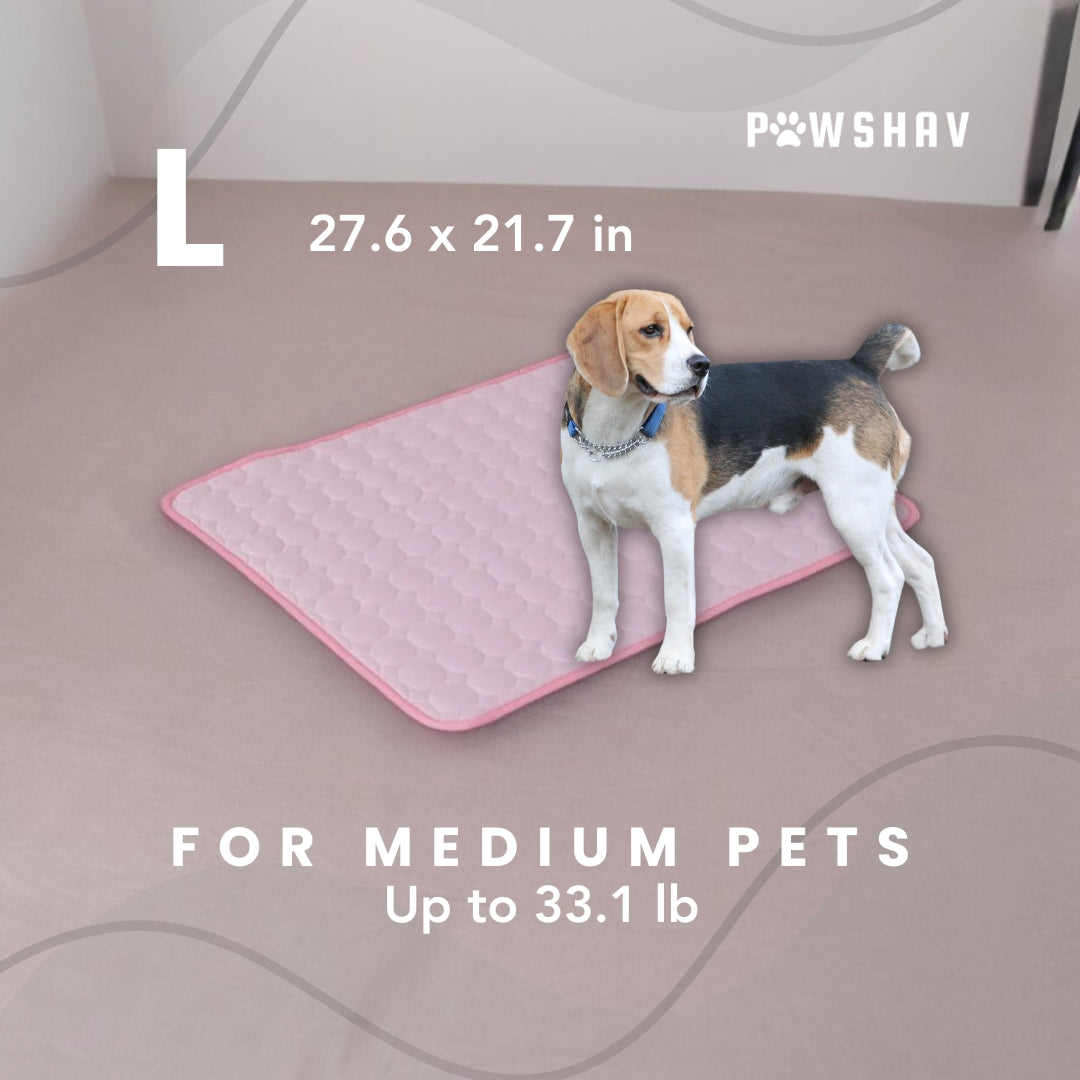 PawsHav - Pet Cooling Mat