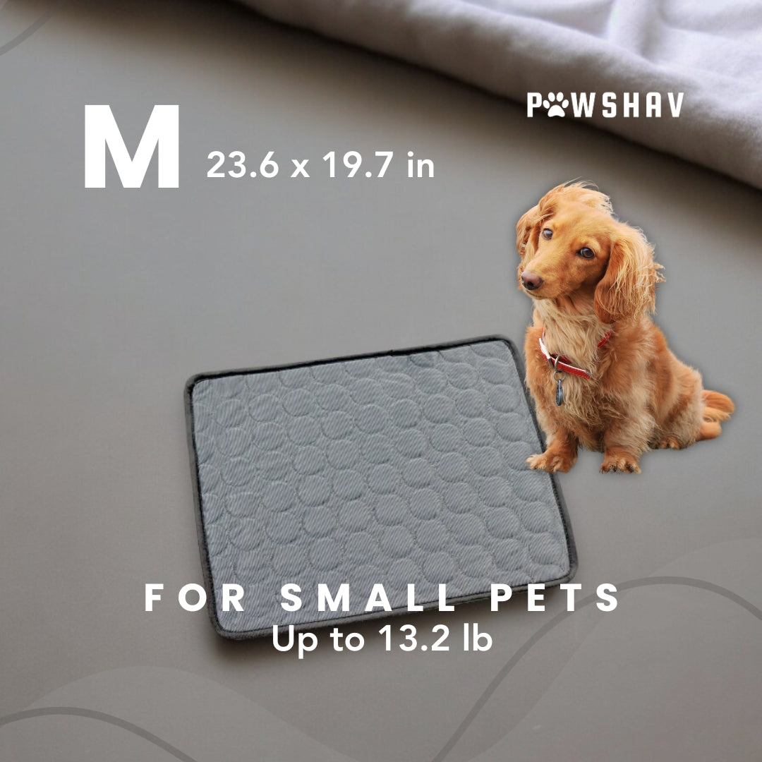 PawsHav - Pet Cooling Mat