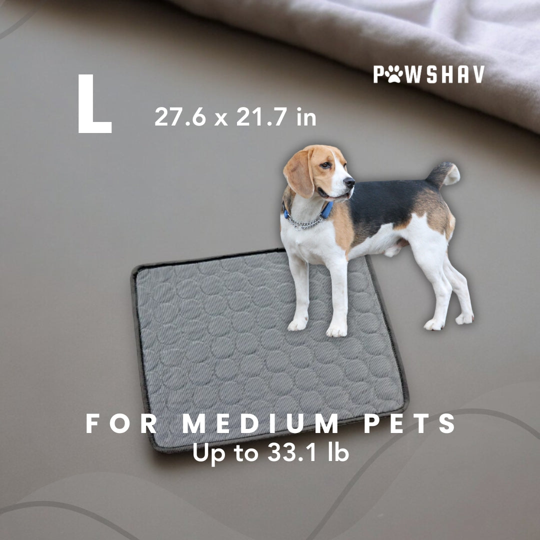 PawsHav - Pet Cooling Mat