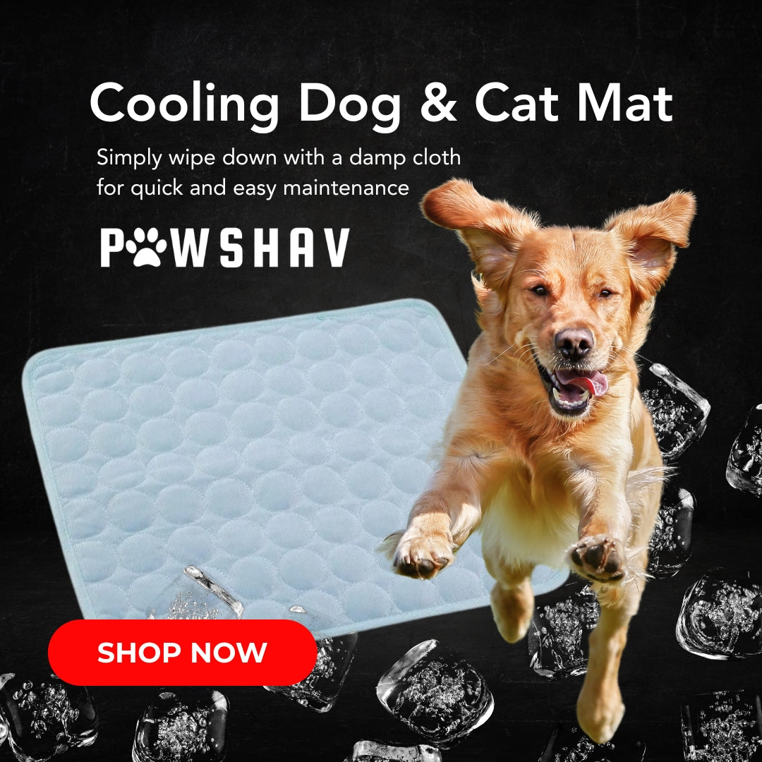 PawsHav - Pet Cooling Mat