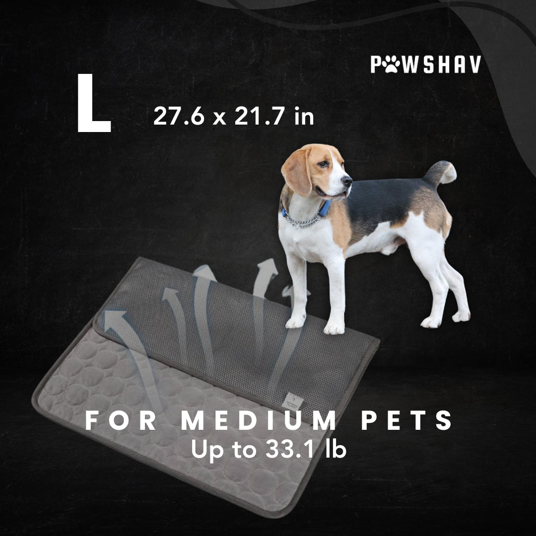 PawsHav - Pet Cooling Mat