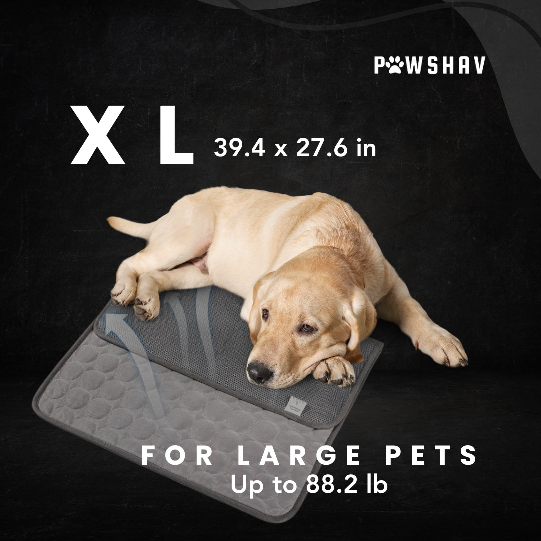 PawsHav - Pet Cooling Mat