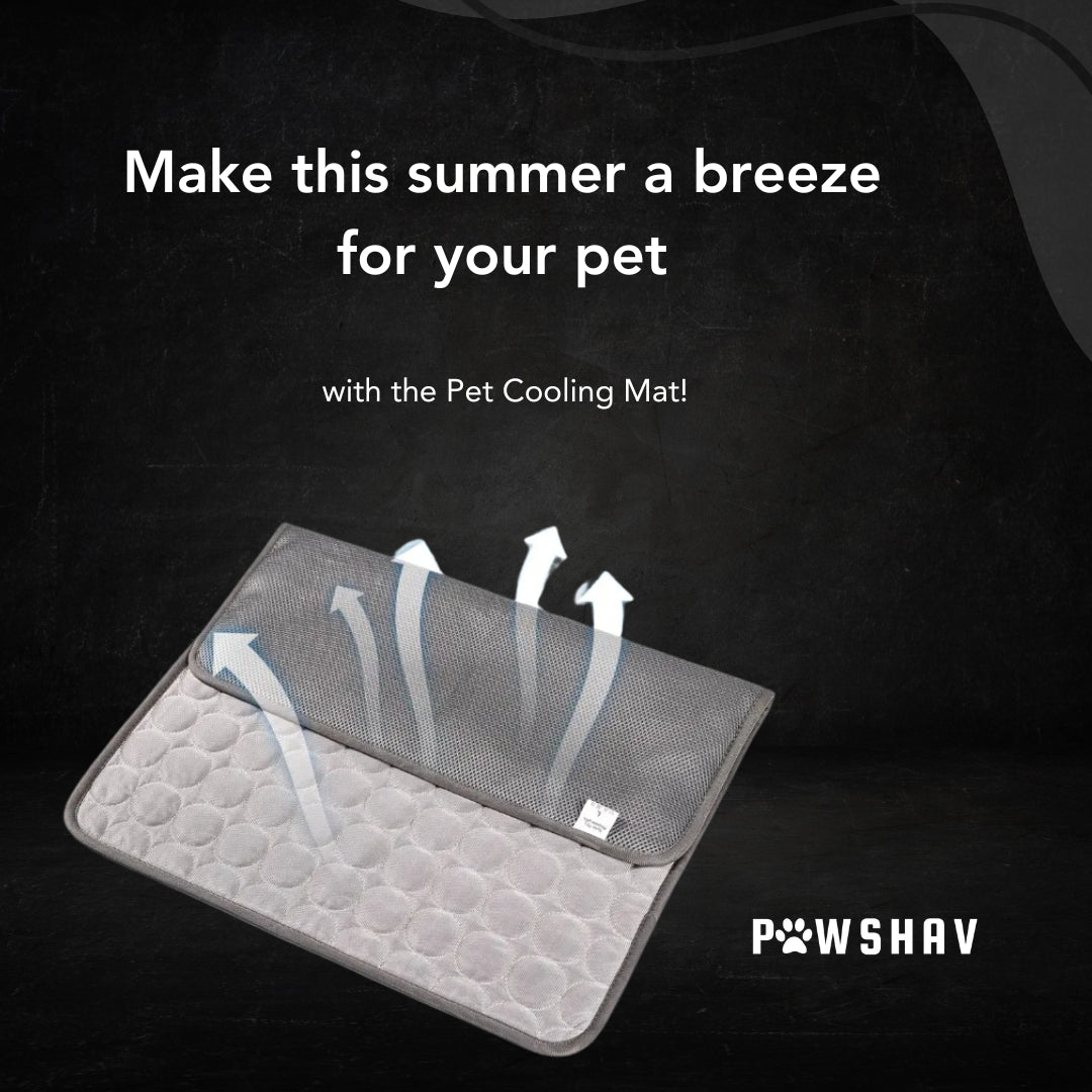 PawsHav - Pet Cooling Mat