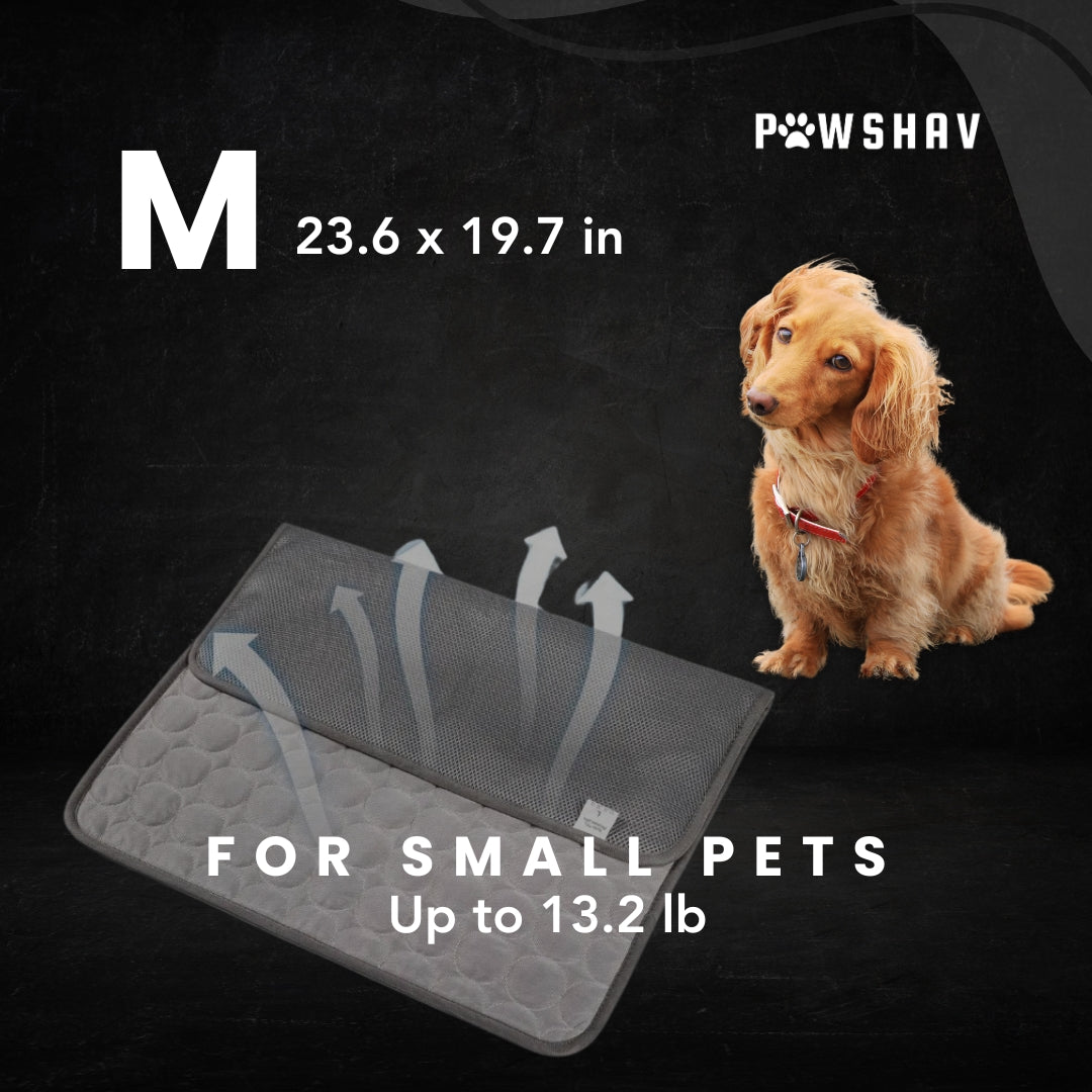 PawsHav - Pet Cooling Mat