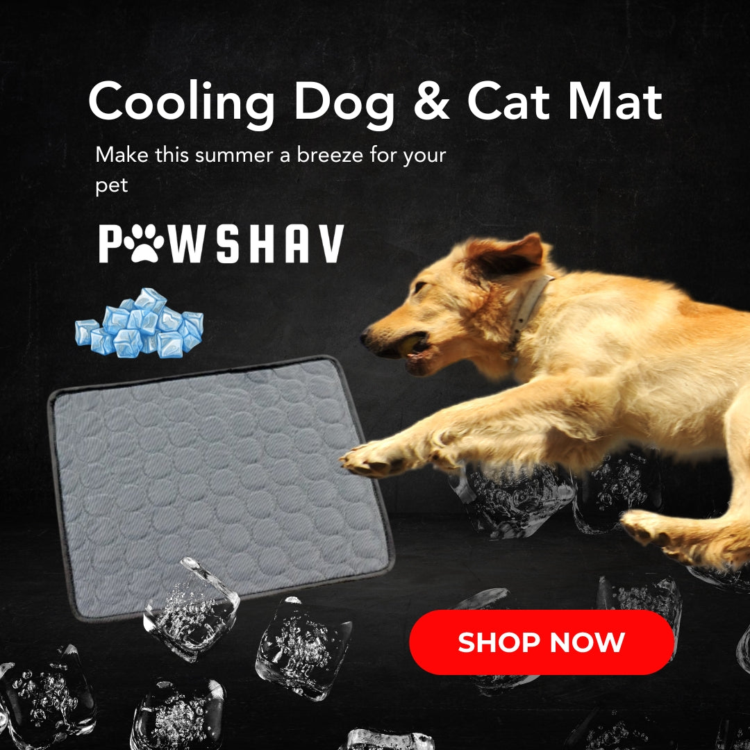 PawsHav - Pet Cooling Mat