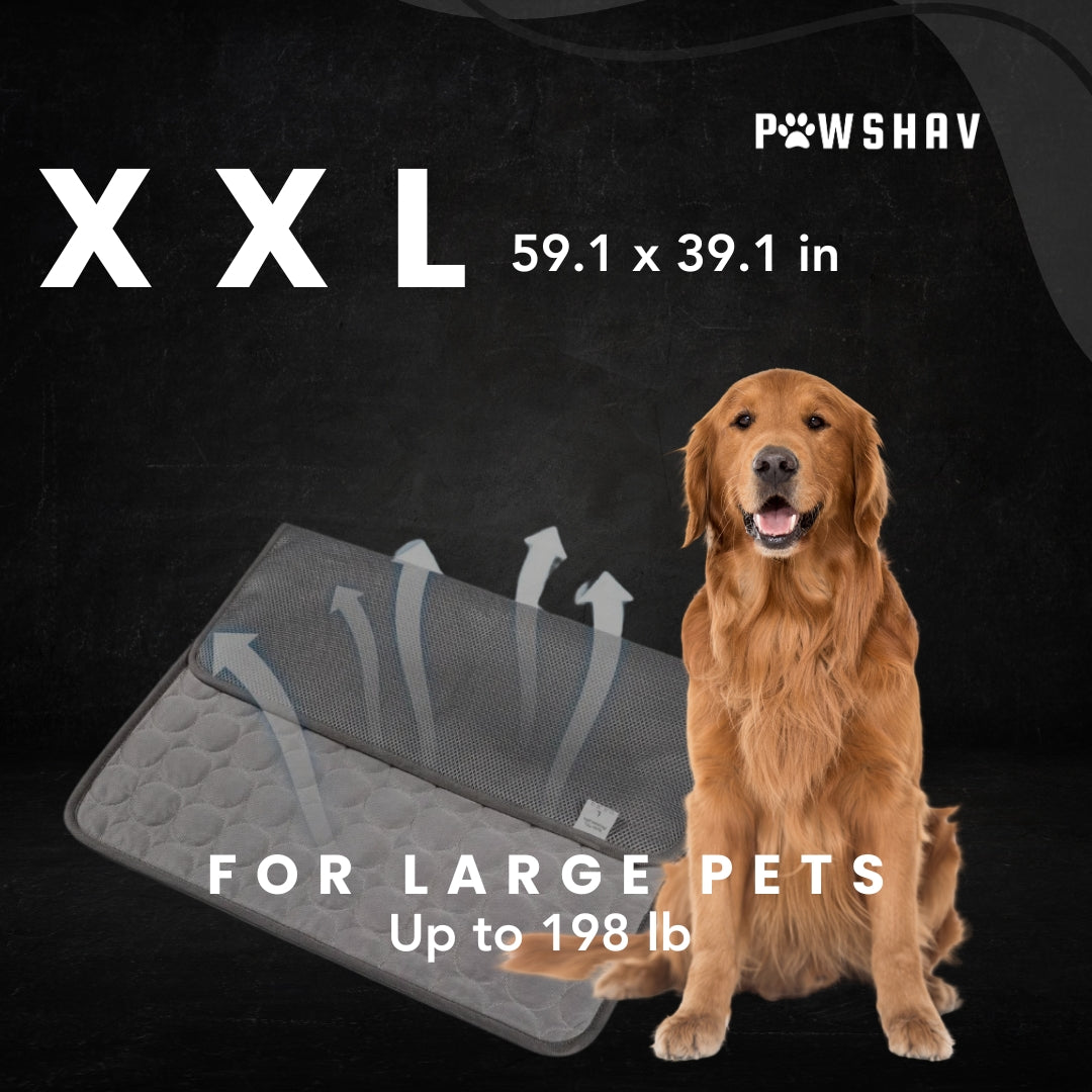 PawsHav - Pet Cooling Mat