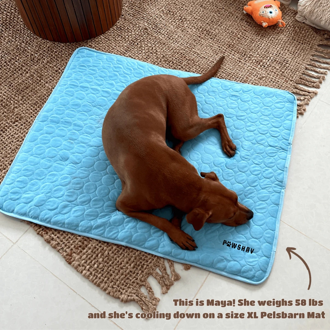 PawsHav - Pet Cooling Mat