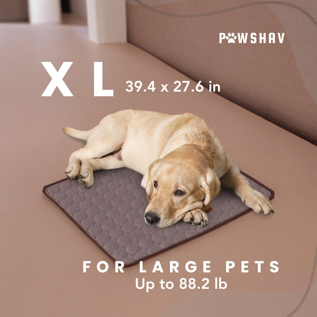 PawsHav - Pet Cooling Mat