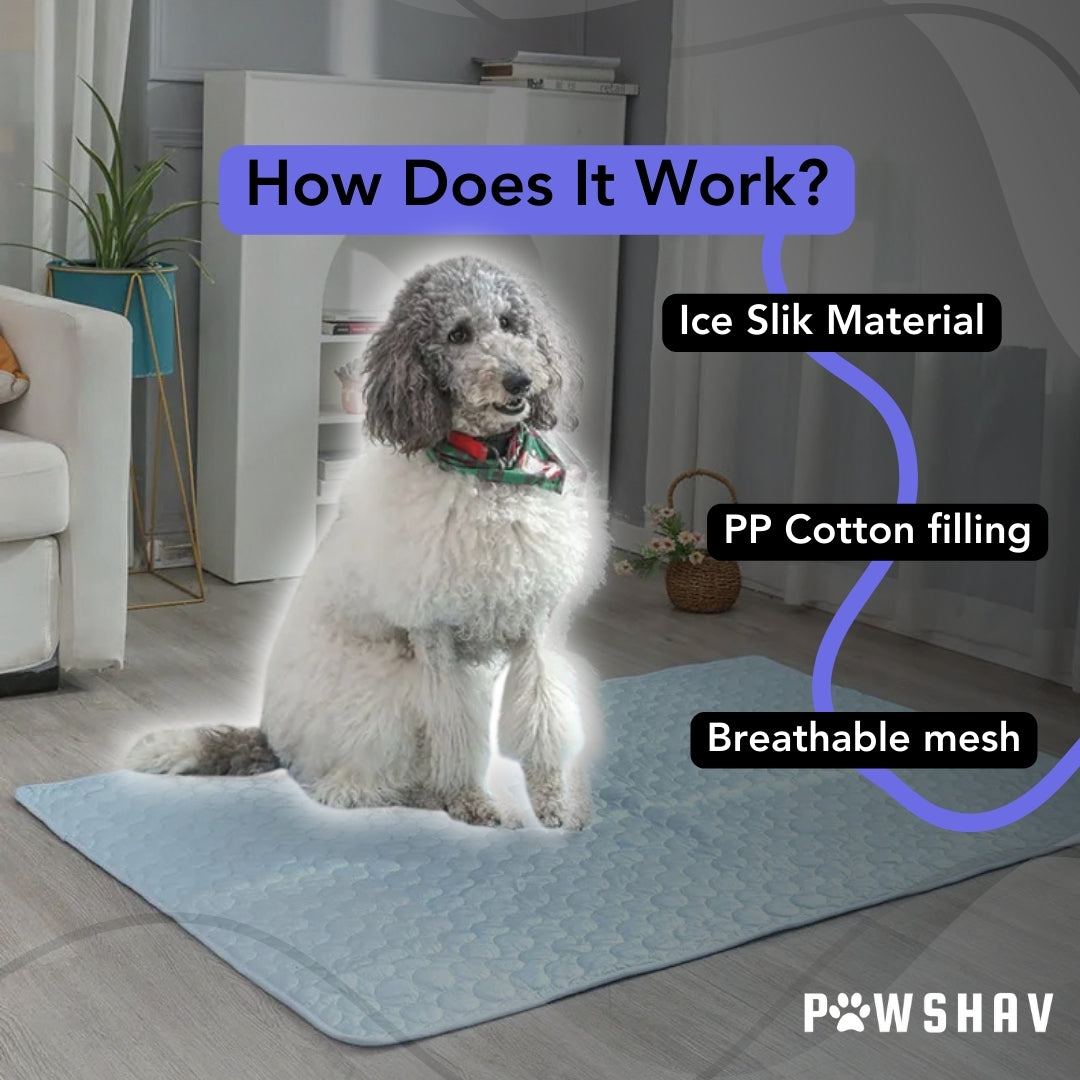 PawsHav - Pet Cooling Mat