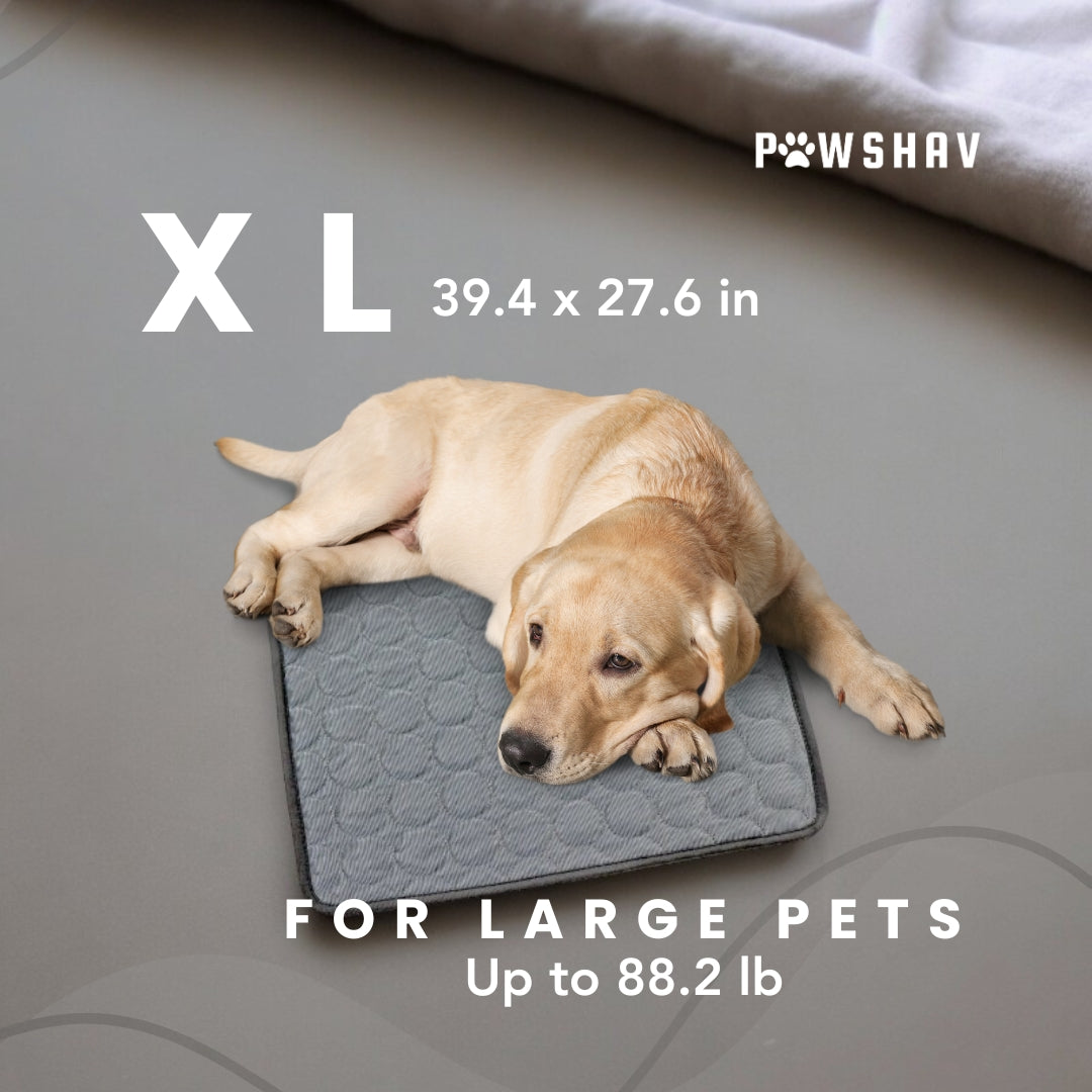 PawsHav - Pet Cooling Mat