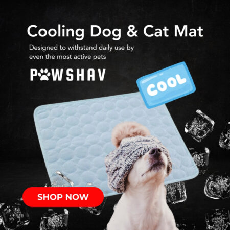 PawsHav - Pet Cooling Mat