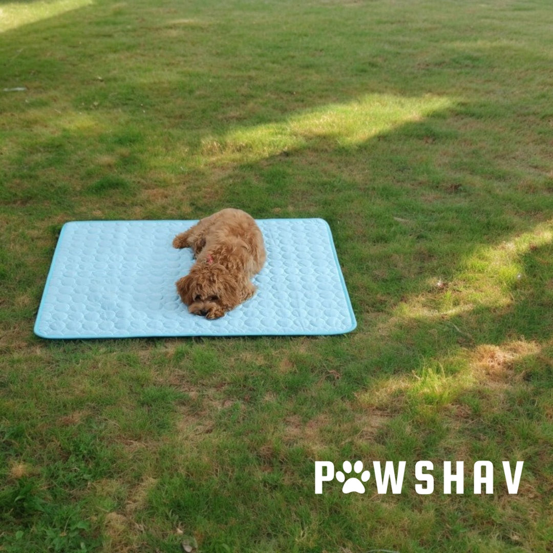 PawsHav - Pet Cooling Mat