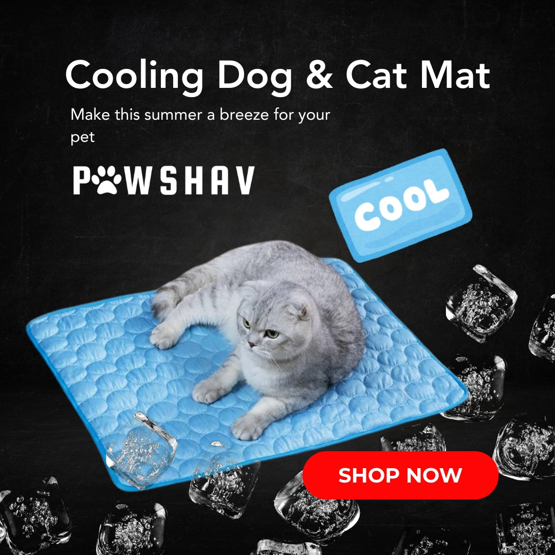 PawsHav - Pet Cooling Mat